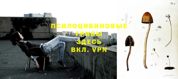 ГАЛЛЮЦИНОГЕННЫЕ ГРИБЫ Михайловск