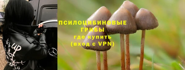 ГАЛЛЮЦИНОГЕННЫЕ ГРИБЫ Михайловск