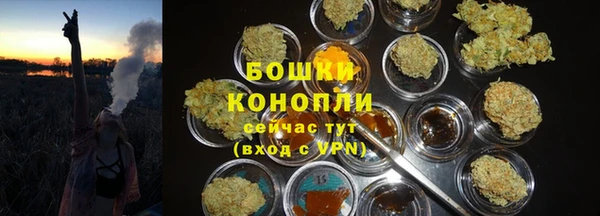 ГАЛЛЮЦИНОГЕННЫЕ ГРИБЫ Михайловск